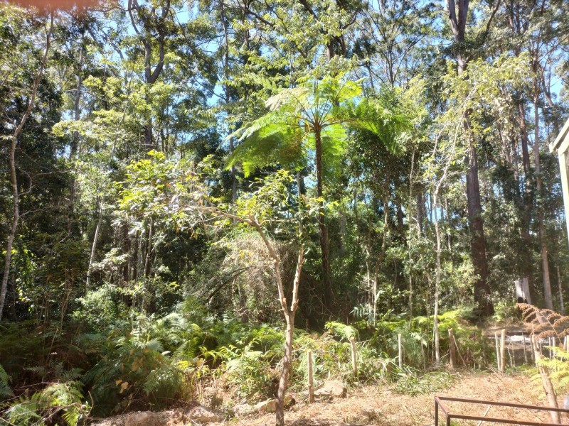 1121 Cooloolabin Road, Cooloolabin QLD 4560