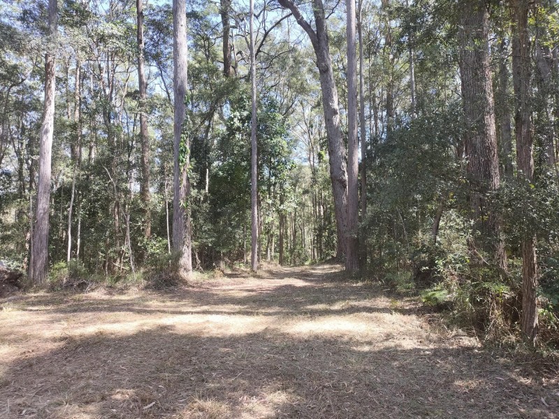 1121 Cooloolabin Road, Cooloolabin QLD 4560