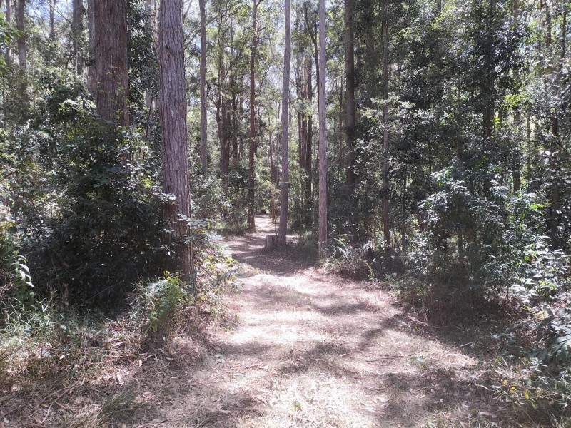 1121 Cooloolabin Road, Cooloolabin QLD 4560