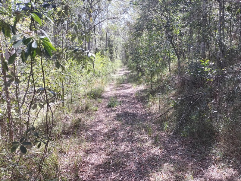 1121 Cooloolabin Road, Cooloolabin QLD 4560