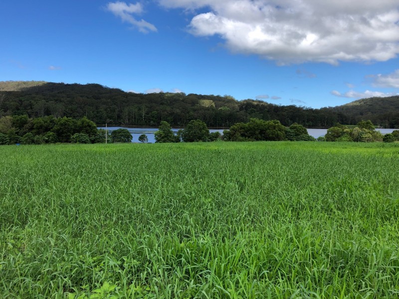 392 Kiamba Road, Kiamba QLD 4560