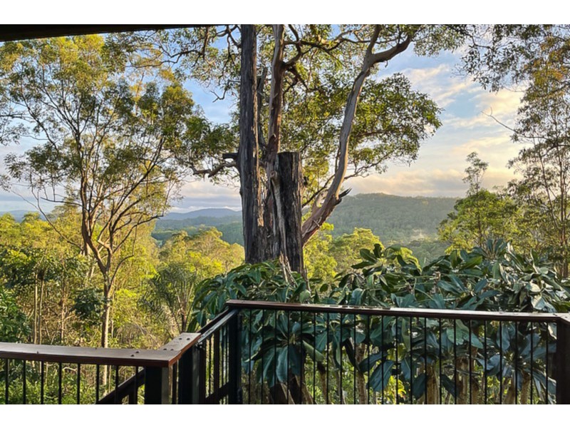 212 Wappa Falls Road, Yandina QLD 4561