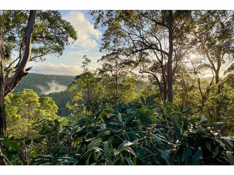 212 Wappa Falls Road, Yandina QLD 4561