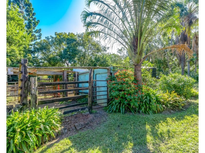216 Ninderry Road, Ninderry QLD 4561