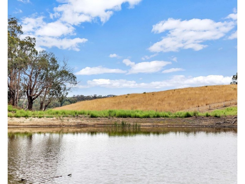 123 Oakwood Road, Oakbank SA 5243