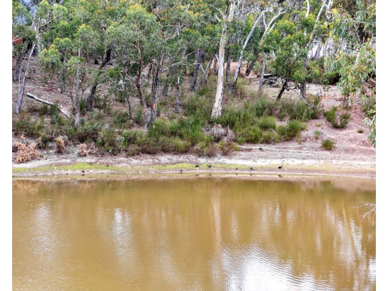 123 Oakwood Road, Oakbank SA 5243