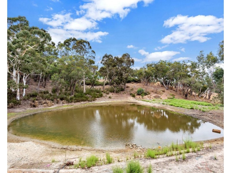 123 Oakwood Road, Oakbank SA 5243