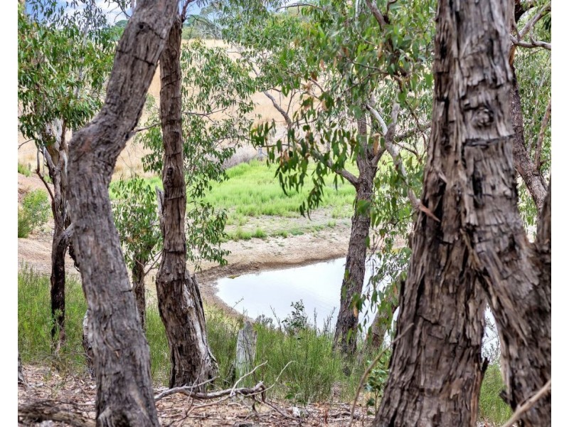 123 Oakwood Road, Oakbank SA 5243