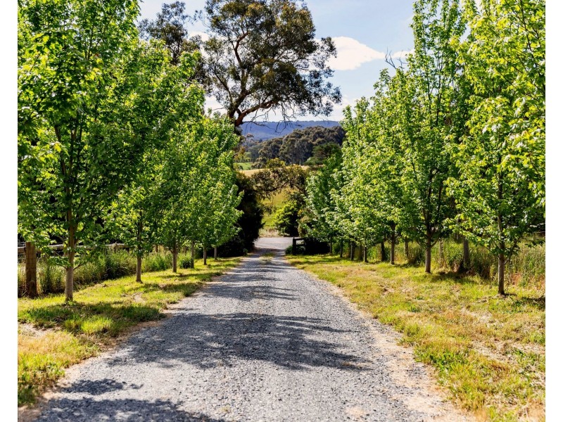 100 Wicks Road, Oakbank SA 5243