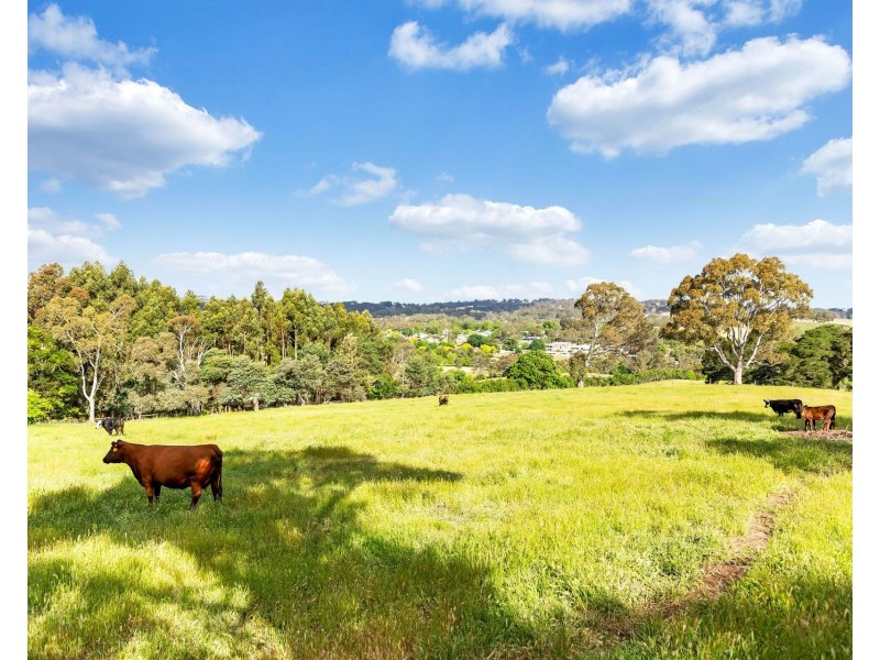 100 Wicks Road, Oakbank SA 5243