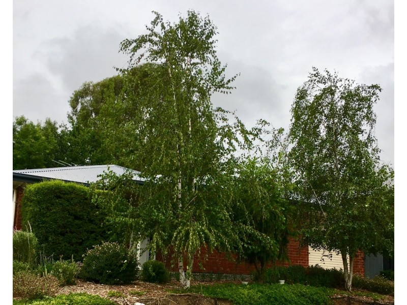 5/6 Tolmer Road, Woodside SA 5244