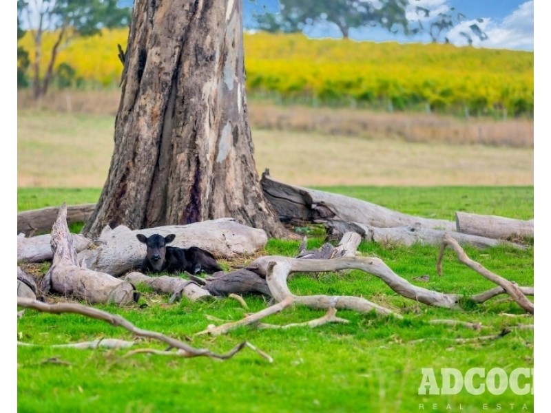 Lot 2, Monkhouse Road, Oakbank SA 5243