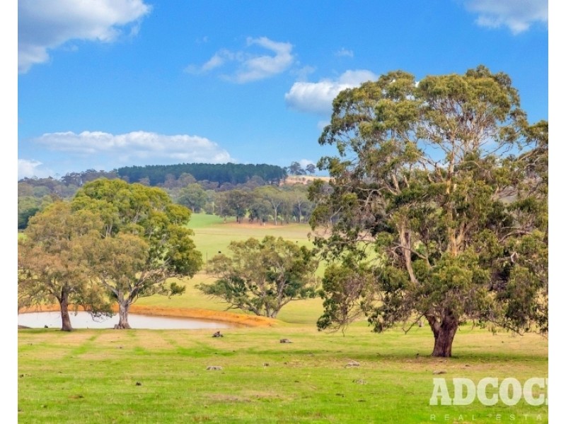 Lot 2, Monkhouse Road, Oakbank SA 5243