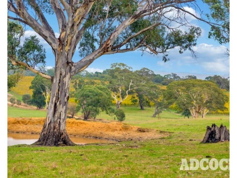 Lot 2, Monkhouse Road, Oakbank SA 5243