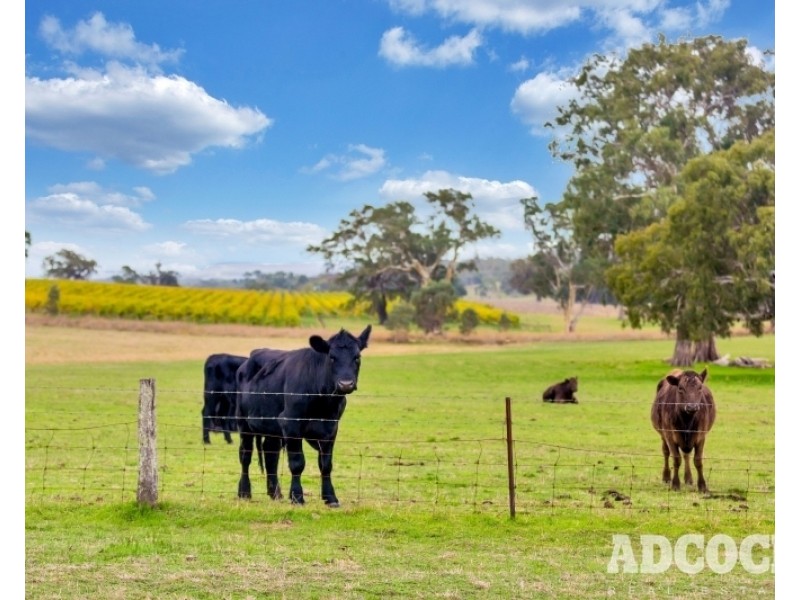 Lot 2, Monkhouse Road, Oakbank SA 5243