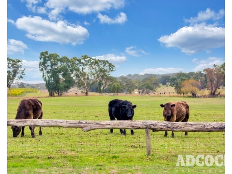 Lot 2, Monkhouse Road, Oakbank SA 5243