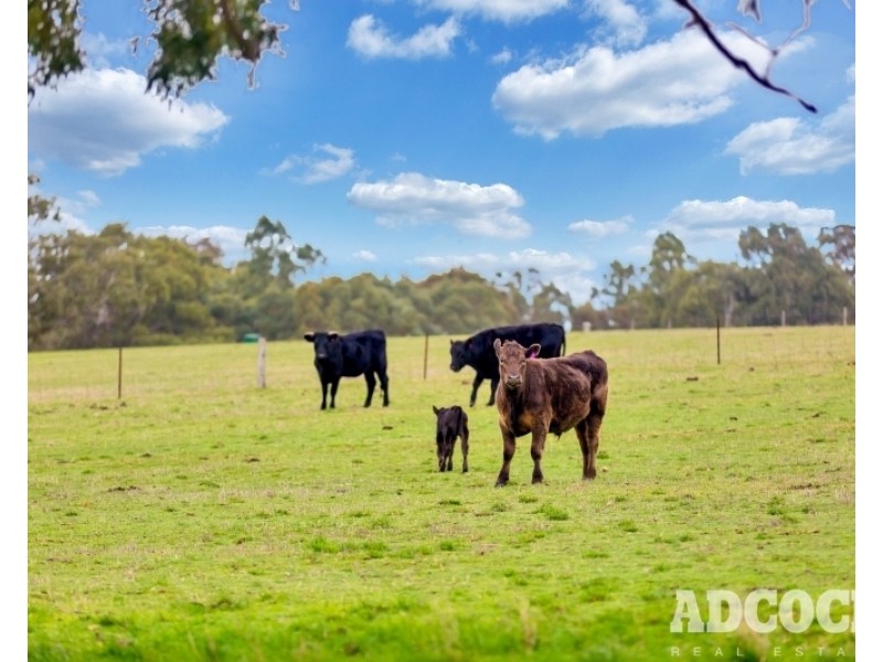 Lot 2, Monkhouse Road, Oakbank SA 5243