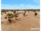 951 Black Heath Road, Tungkillo SA 5236