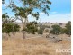 951 Black Heath Road, Tungkillo SA 5236