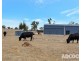951 Black Heath Road, Tungkillo SA 5236