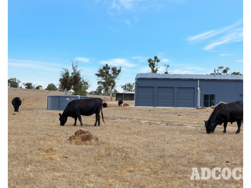 951 Black Heath Road, Tungkillo SA 5236