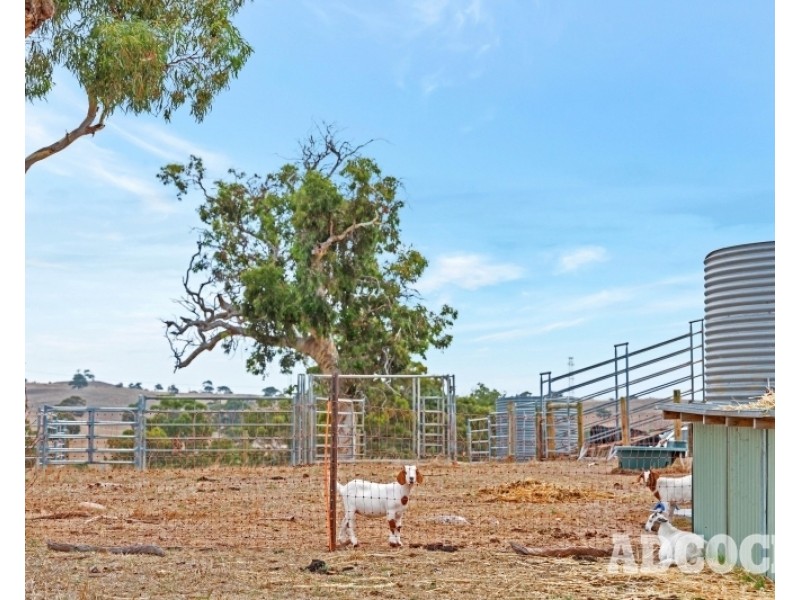 951 Black Heath Road, Tungkillo SA 5236