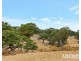 951 Black Heath Road, Tungkillo SA 5236