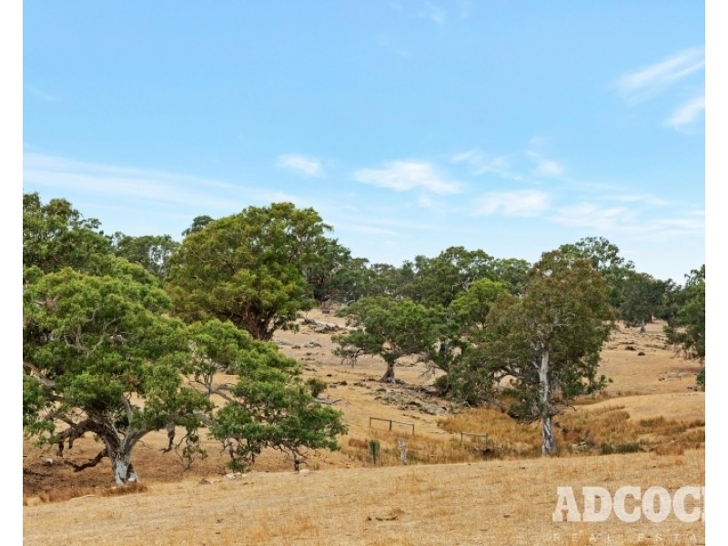 951 Black Heath Road, Tungkillo SA 5236