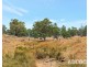 951 Black Heath Road, Tungkillo SA 5236