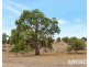 951 Black Heath Road, Tungkillo SA 5236