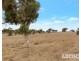 951 Black Heath Road, Tungkillo SA 5236