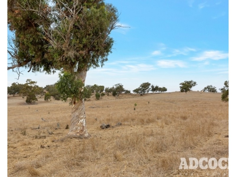 951 Black Heath Road, Tungkillo SA 5236