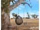 951 Black Heath Road, Tungkillo SA 5236
