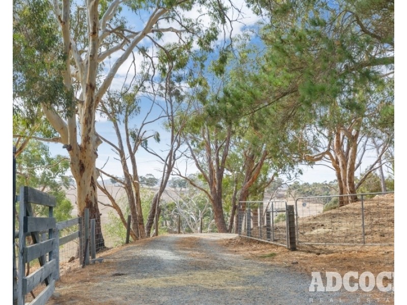 37 Pedare Park Road, Woodside SA 5244