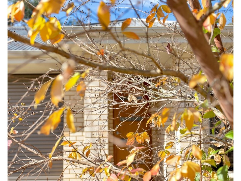 Lot 3 Edward Street, Birdwood SA 5234