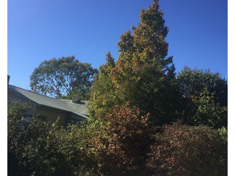 8 Garrod Crescent, Stirling SA 5152