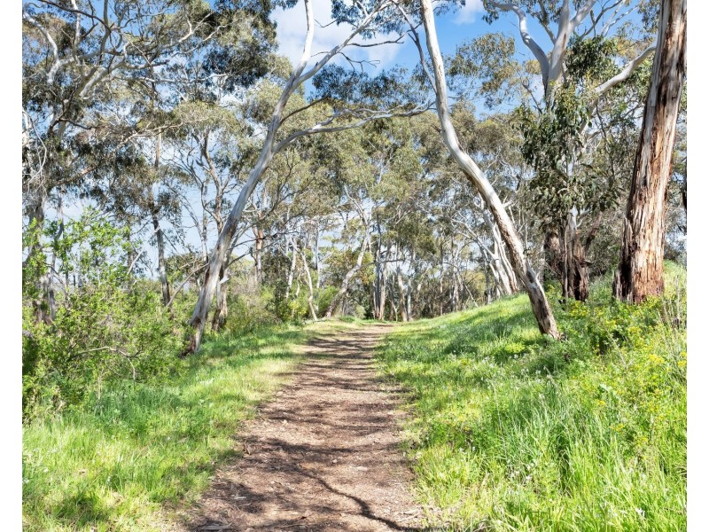 112 Emmett Road, Crafers West SA 5152