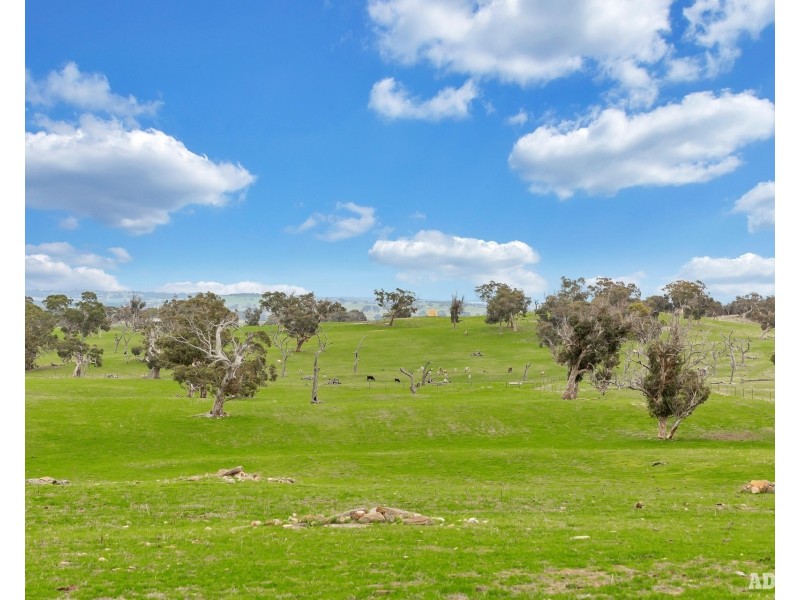 1043 Black Heath Road, Tungkillo SA 5236