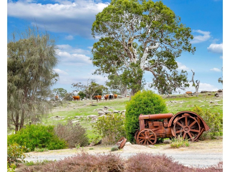 1043 Black Heath Road, Tungkillo SA 5236