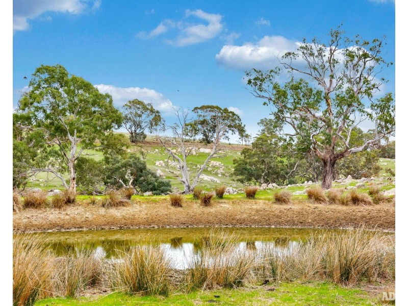 1043 Black Heath Road, Tungkillo SA 5236