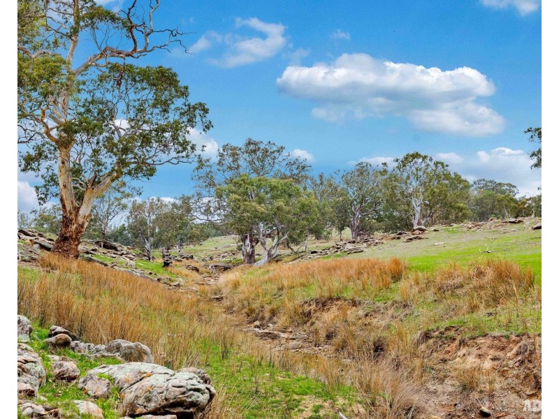 1043 Black Heath Road, Tungkillo SA 5236