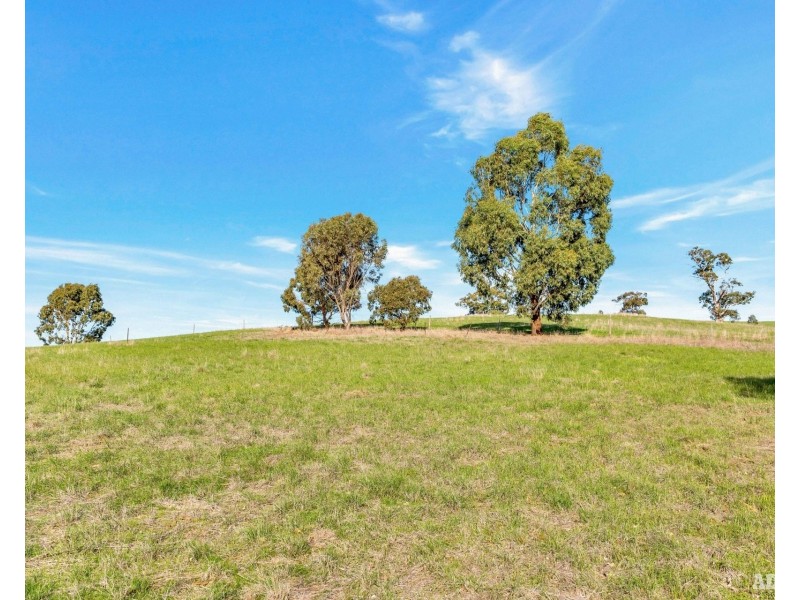 Lot 5,  Wachtel Road, Harrogate SA 5244