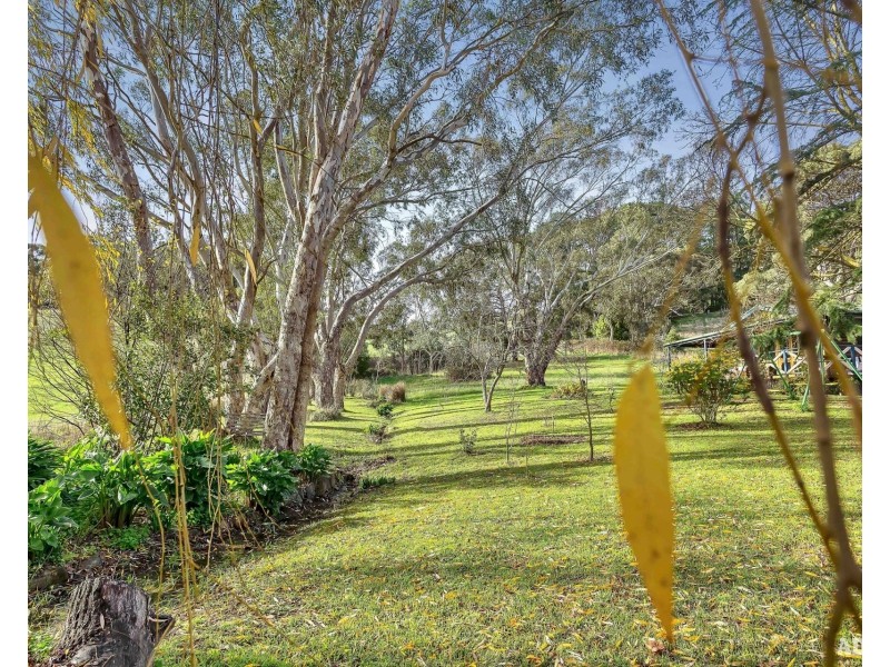 736 Swamp Road, Lenswood SA 5240