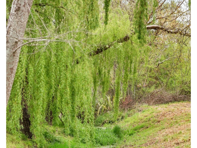 4-6 Victoria Street, Hahndorf SA 5245