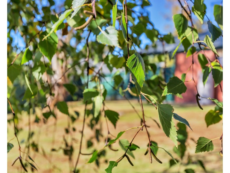 69 Grevillea Way, Woodside SA 5244