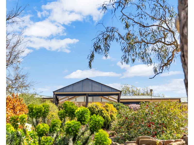 14 Hanny Crescent, Nairne SA 5252