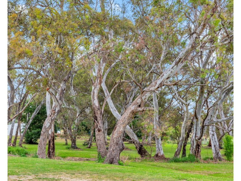 21 Jeffrey Street, Lobethal SA 5241