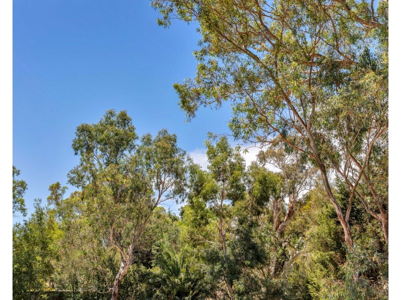 3 Jacaranda Drive, Woodside SA 5244