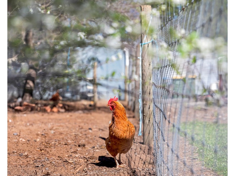 4 Mail Road, Harrogate SA 5244