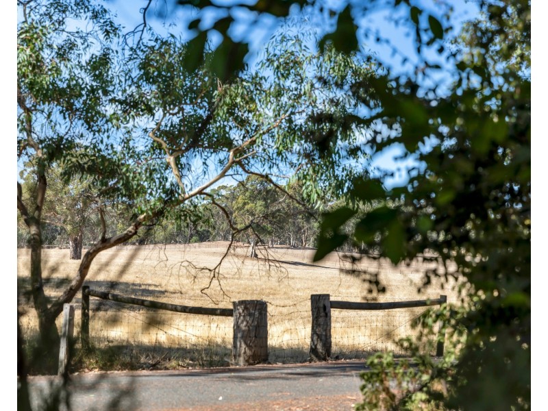 16 Discombe Road, Woodside SA 5244